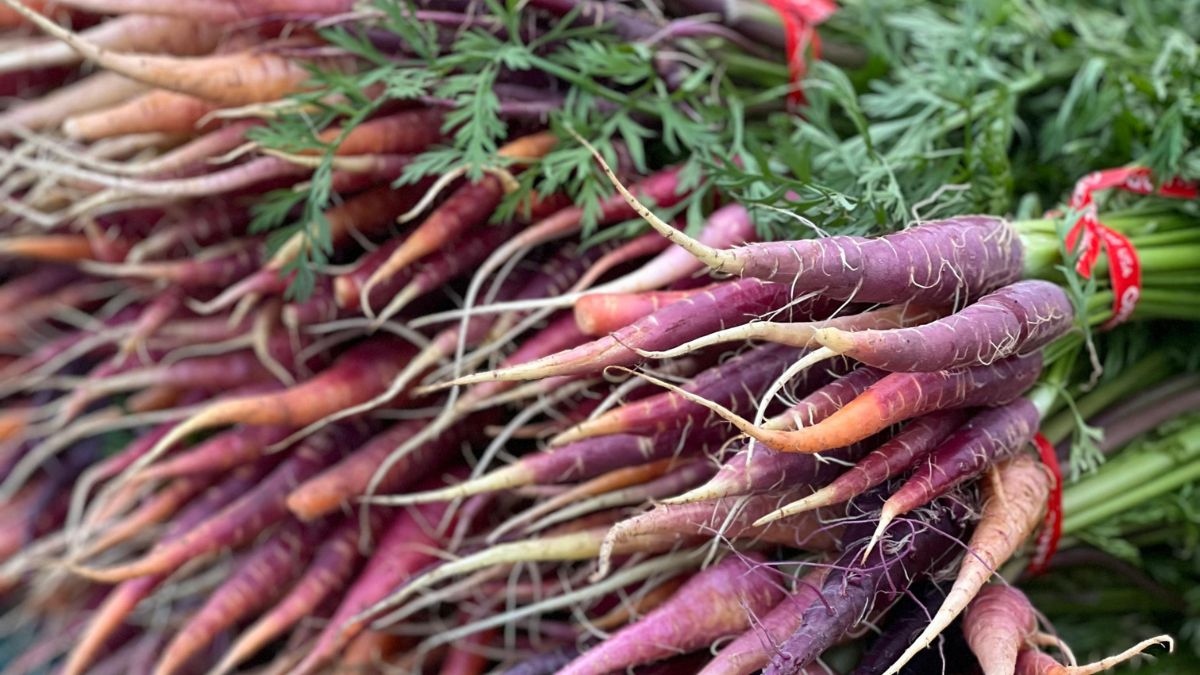 Purple Carrot